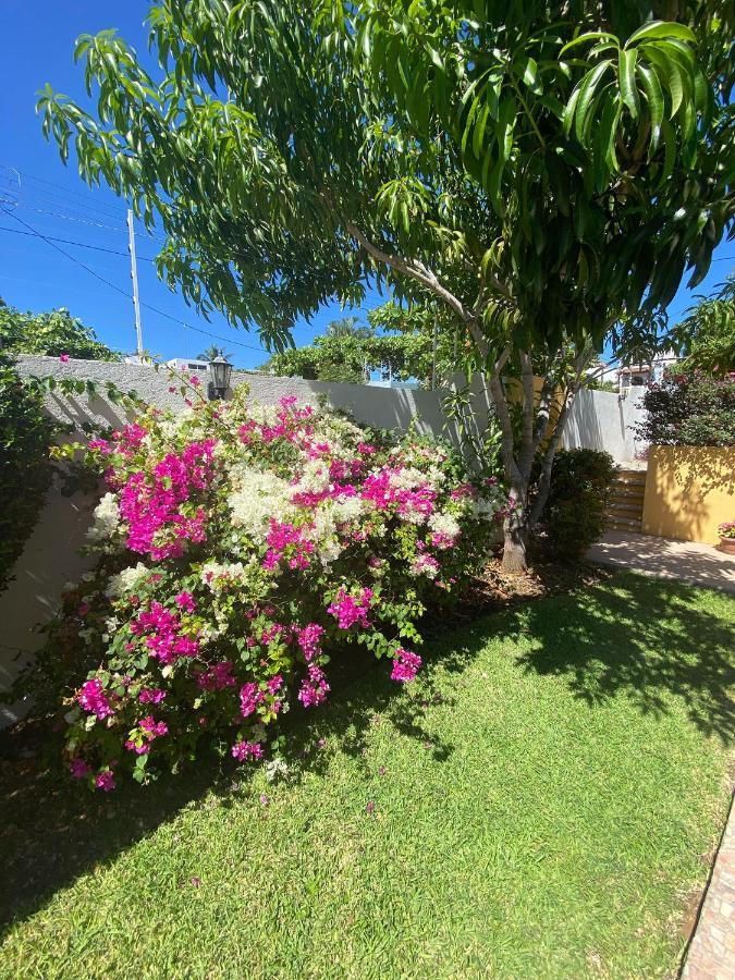 Zandoyo Bed & Breakfast Puerto Escondido  Zewnętrze zdjęcie
