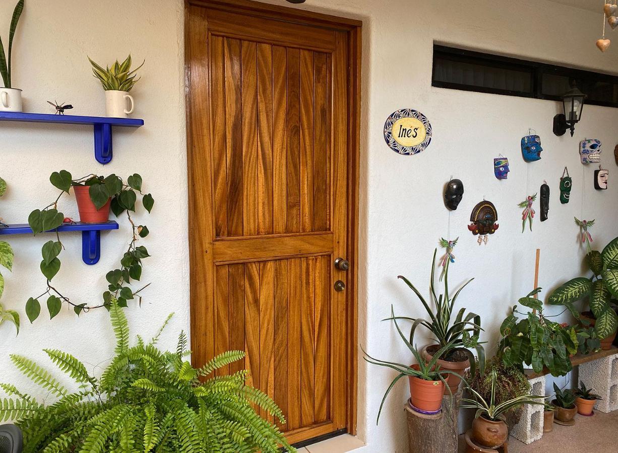 Zandoyo Bed & Breakfast Puerto Escondido  Zewnętrze zdjęcie