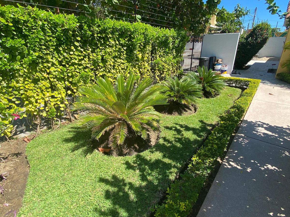 Zandoyo Bed & Breakfast Puerto Escondido  Zewnętrze zdjęcie